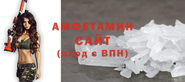 СК Алексин