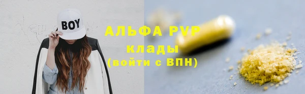 СК Алексин