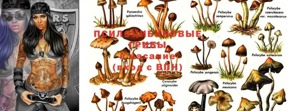 МДМА Алексеевка