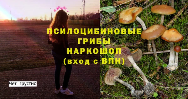 СК Алексин