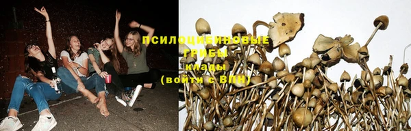 МДМА Алексеевка