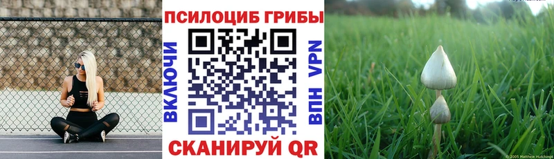 Псилоцибиновые грибы ЛСД  наркота  Елизово 