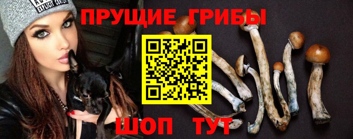 Елизово  Галлюциногенные грибы GOLDEN TEACHER  Вход с VPN  Псилоцибиновые грибы мицелий 
