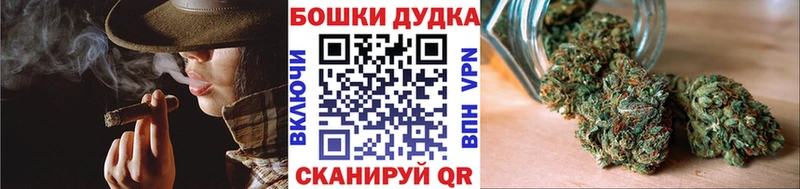 Конопля White Widow  kraken как зайти  Елизово  цена наркотик 